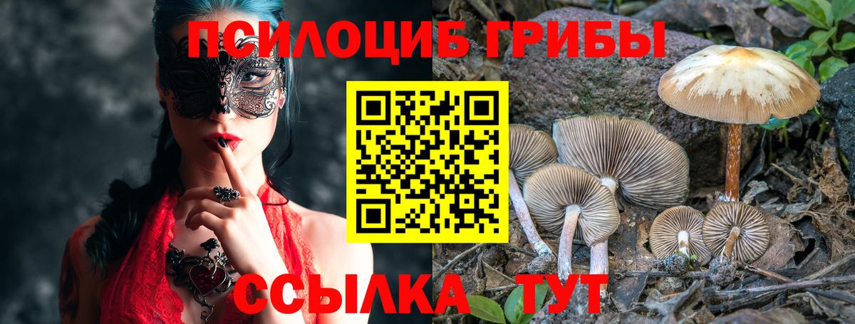 Псилоцибиновые грибы Psilocybine cubensis Углич