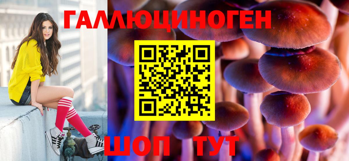 Галлюциногенные грибы прущие грибы  Вход с VPN  Псилоцибиновые грибы GOLDEN TEACHER  Углич 